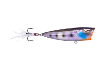 Ark Topwater Popper