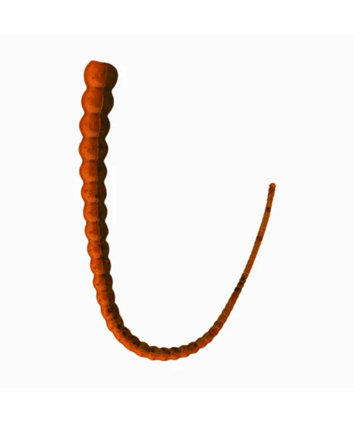 Whip Worm - Soft Plastic Ribbon Tail Worm for Bass Fishing