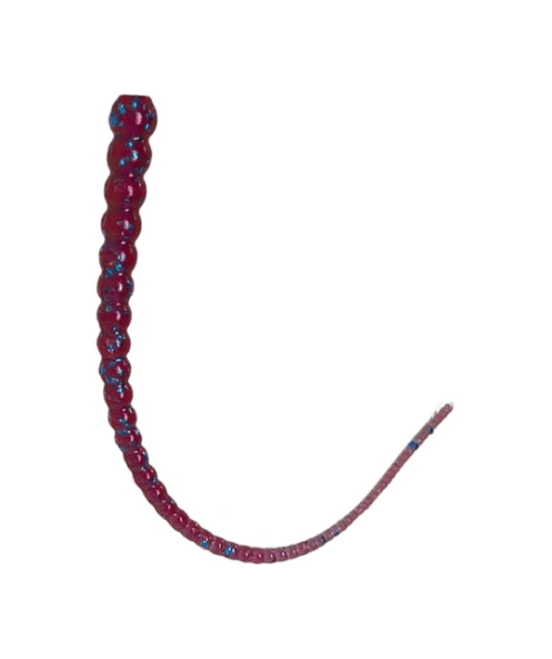 Whip Worm - Soft Plastic Ribbon Tail Worm for Bass Fishing